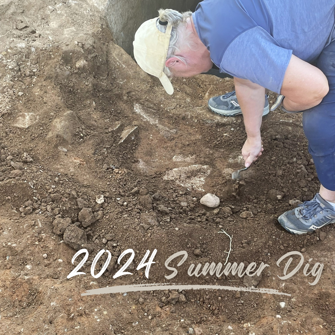 2024 Summer Dig